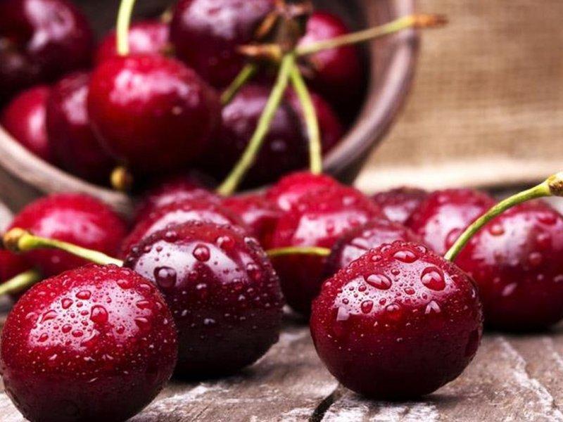 Вишня купить саженцы из питомника в Пятигорске